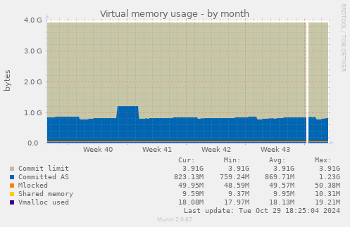 Virtual memory usage