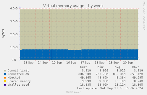 Virtual memory usage